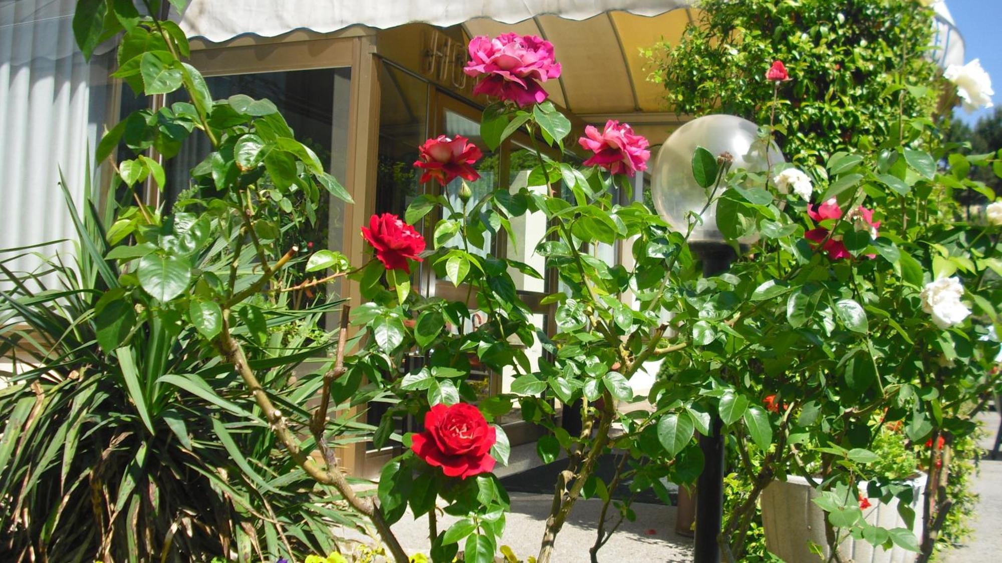 Park Hotel Galileo Reggello Extérieur photo